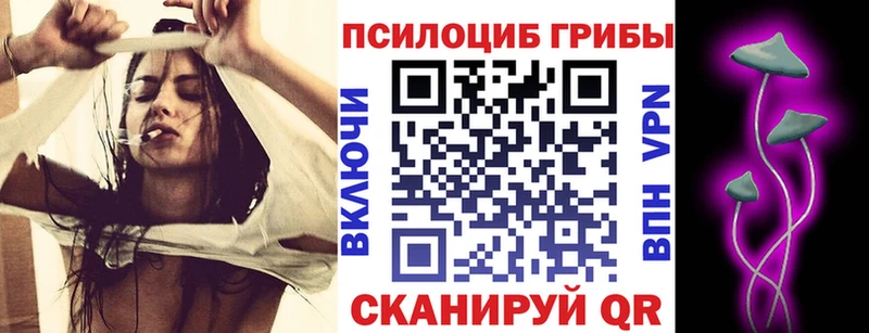 Псилоцибиновые грибы ЛСД Саратов