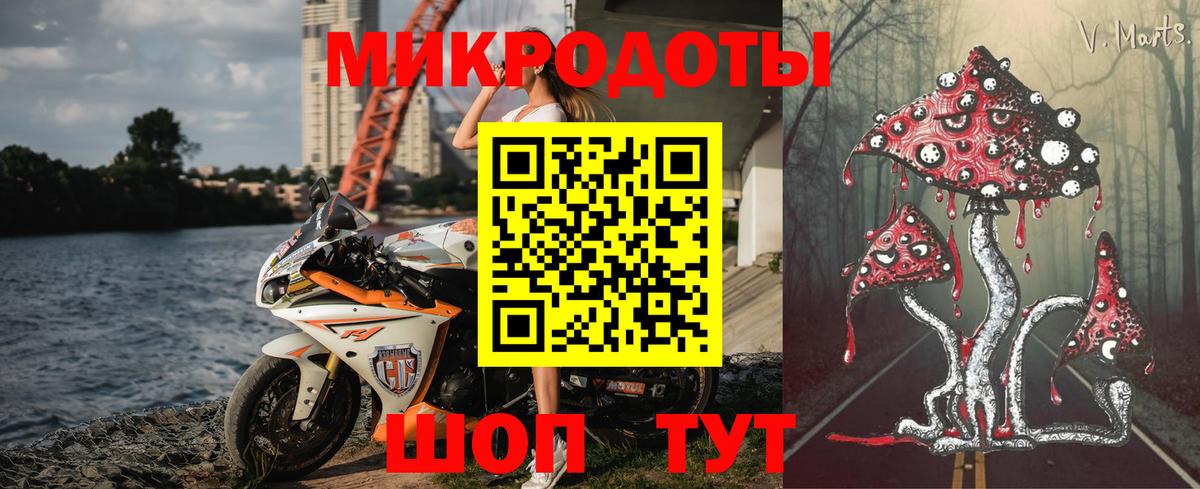 Галлюциногенные грибы Psilocybine cubensis Саратов