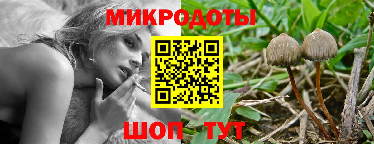 Саратов  Псилоцибиновые грибы Magic Shrooms  Вход с VPN  Псилоцибиновые грибы прущие грибы 